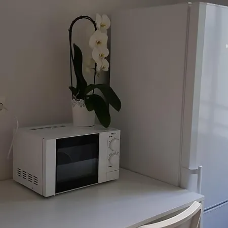 Homestay Zurich City