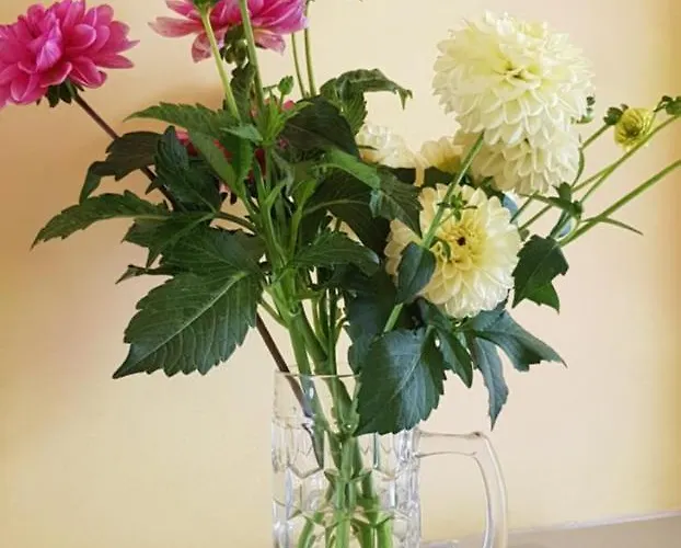 Otel Homestay City Zürih